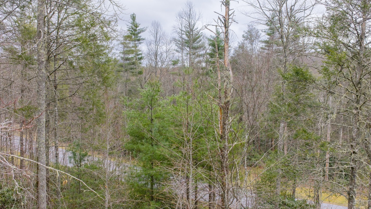 Lot 60 Bottlebrush Dr Photos 13 Large