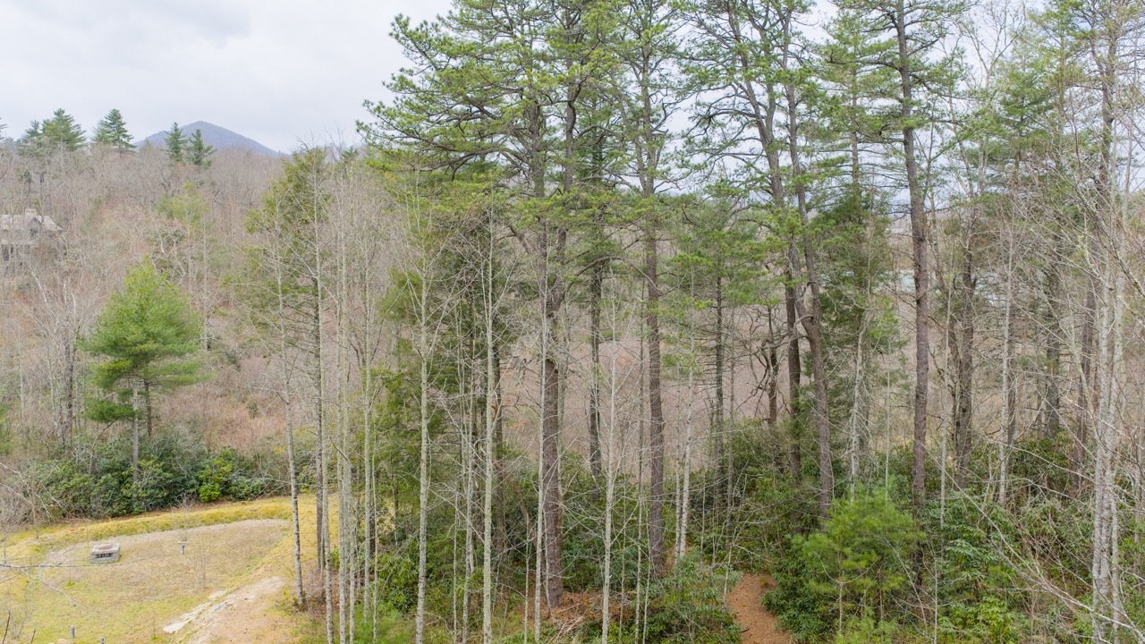 Lot 60 Bottlebrush Dr Photos 16 Large