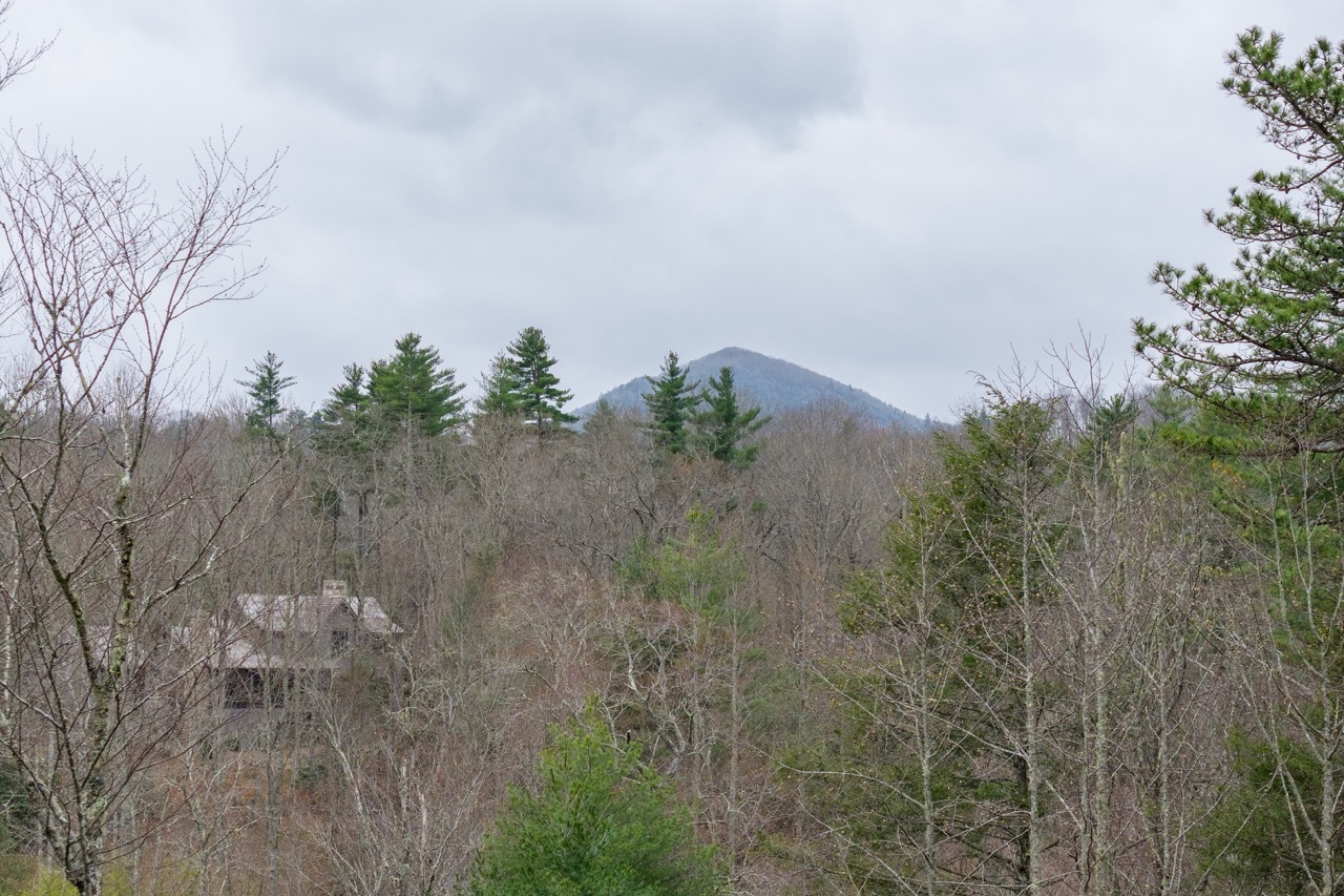 Lot 60 Bottlebrush Dr Photos 18 Large