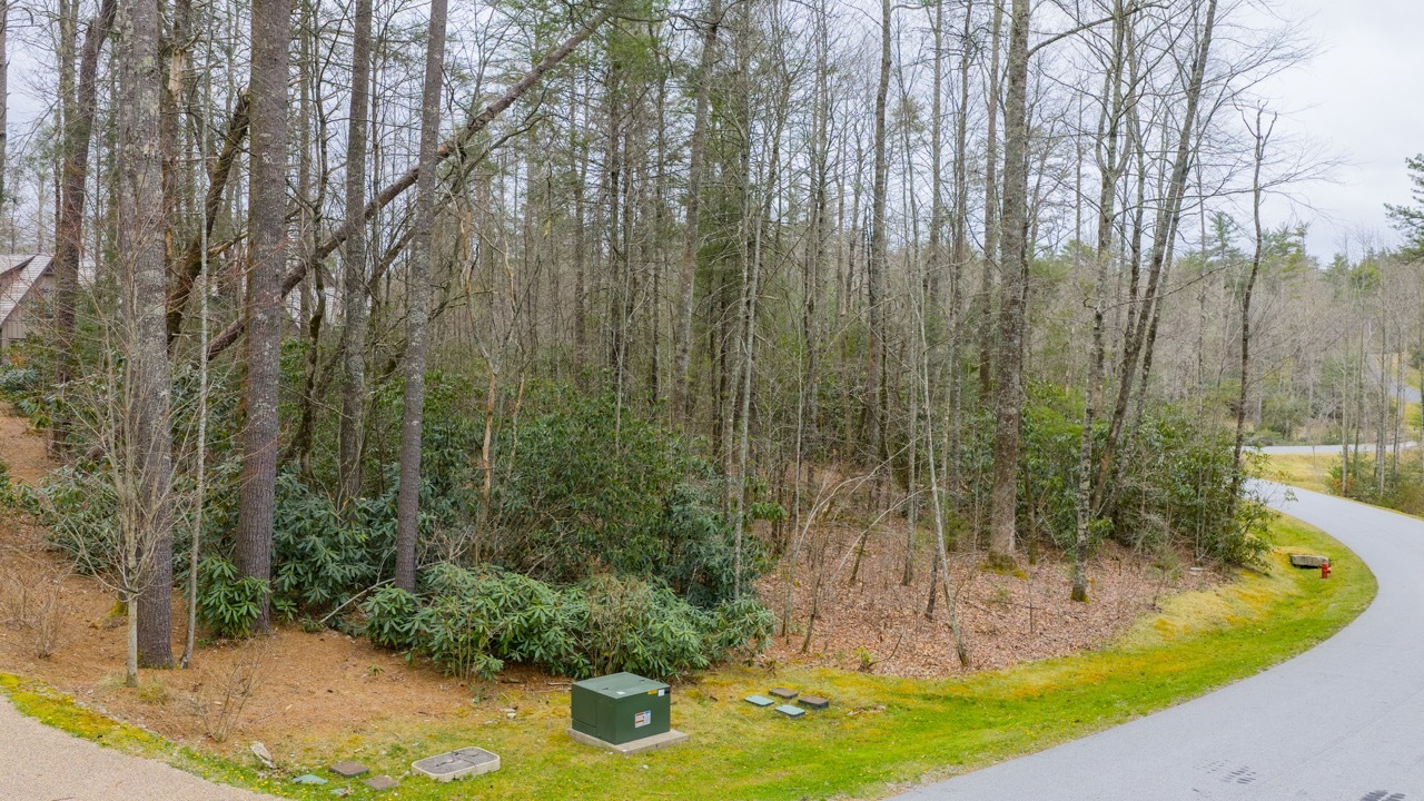 Lot 60 Bottlebrush Dr Photos 2 Large