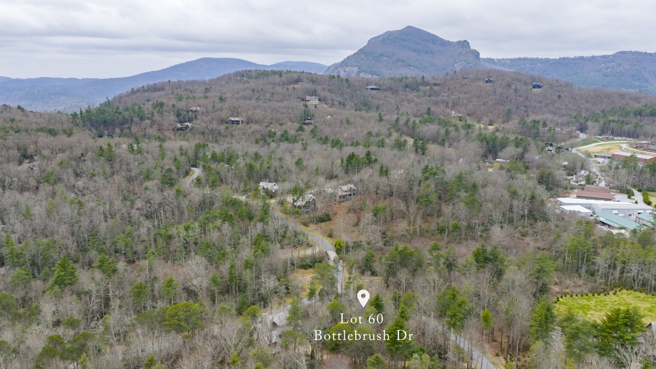 Lot 60 Bottlebrush Dr Photos 21 Large