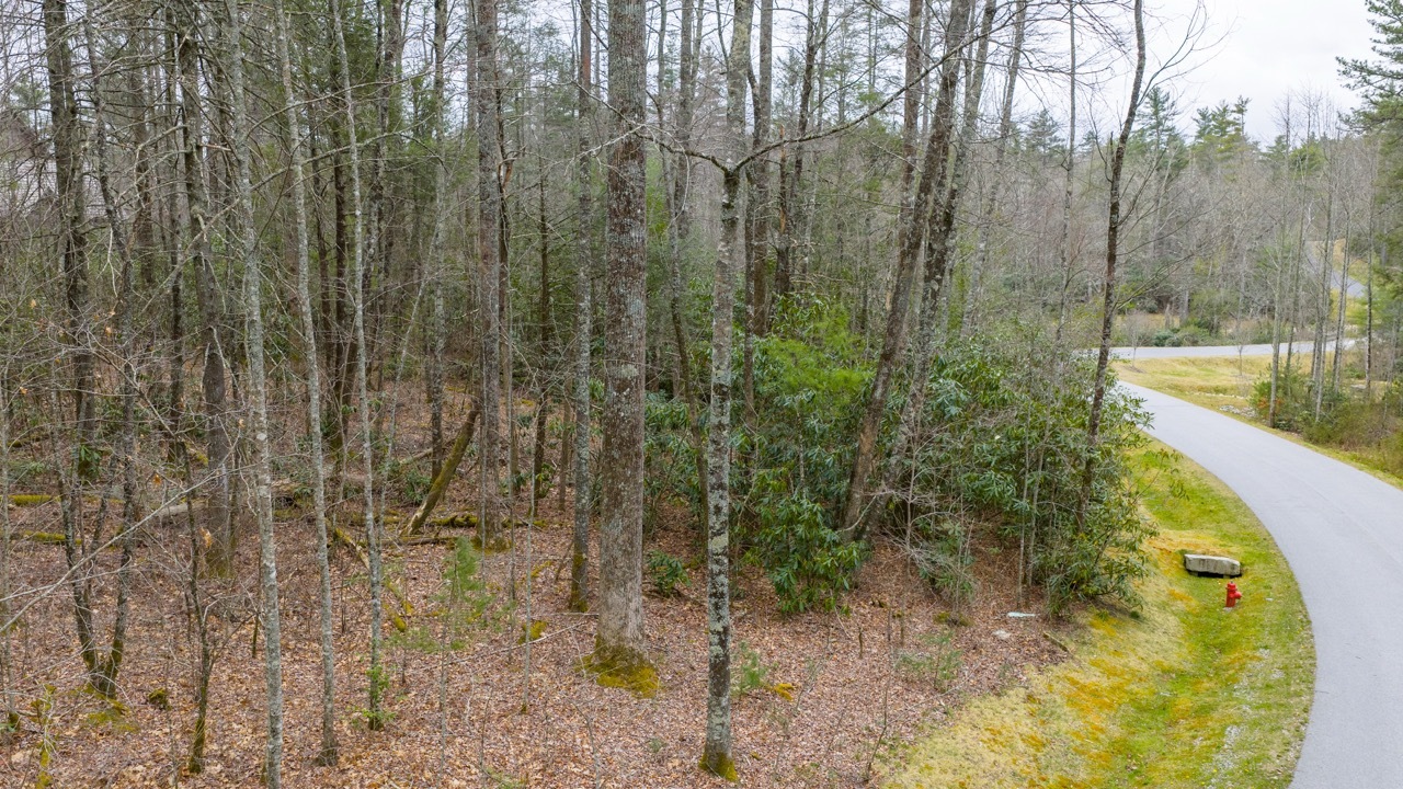 Lot 60 Bottlebrush Dr Photos 3 Large