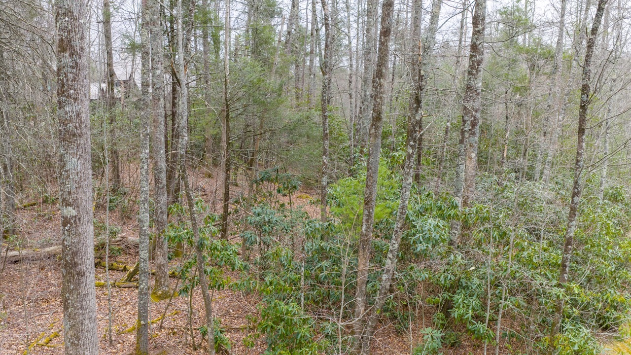 Lot 60 Bottlebrush Dr Photos 4 Large