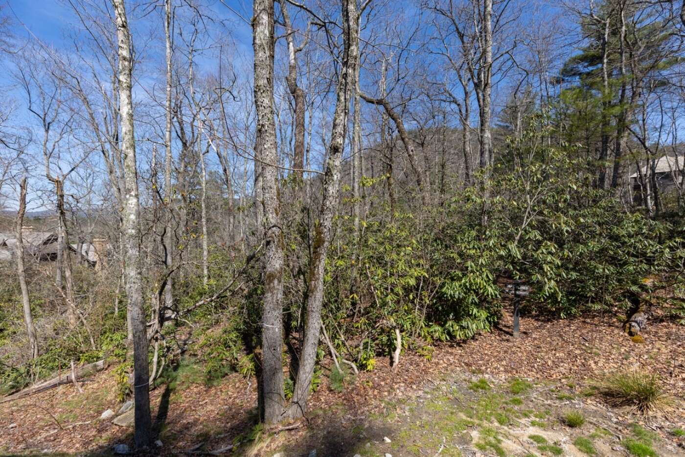 Lot 54 Ramble Ridge Rd Photos 1 Large