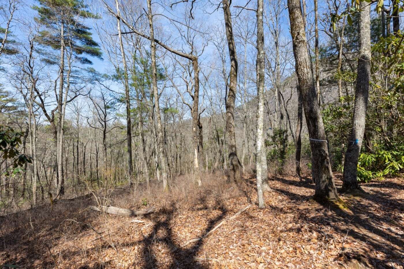 Lot 54 Ramble Ridge Rd Photos 10 Large