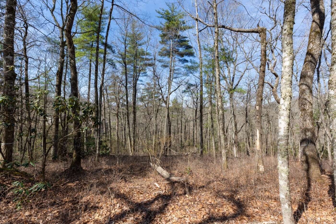 Lot 54 Ramble Ridge Rd Photos 11 Large
