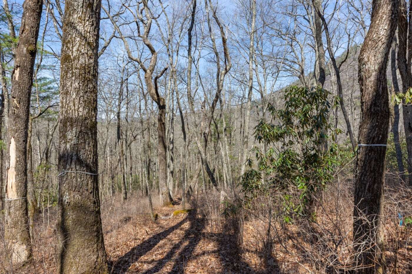 Lot 54 Ramble Ridge Rd Photos 12 Large