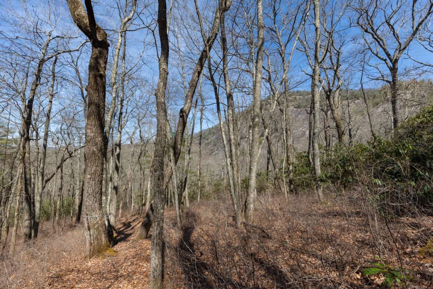 Lot 54 Ramble Ridge Rd Photos 13 Large