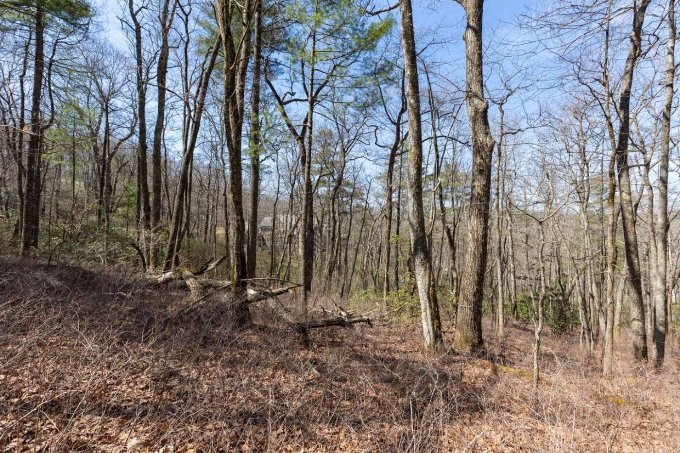 Lot 54 Ramble Ridge Rd Photos 14 Large