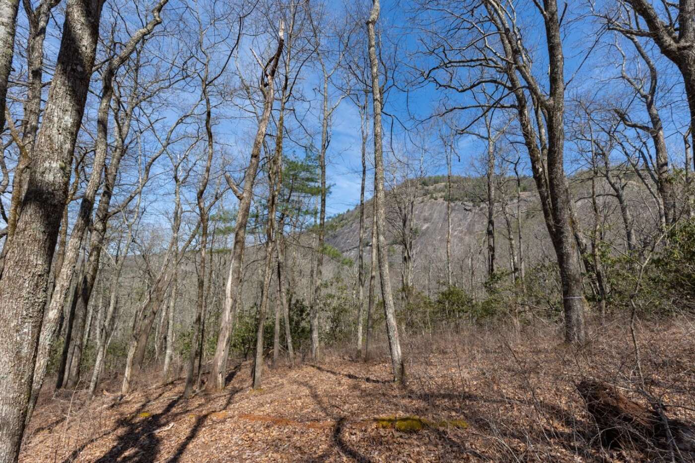 Lot 54 Ramble Ridge Rd Photos 15 Large