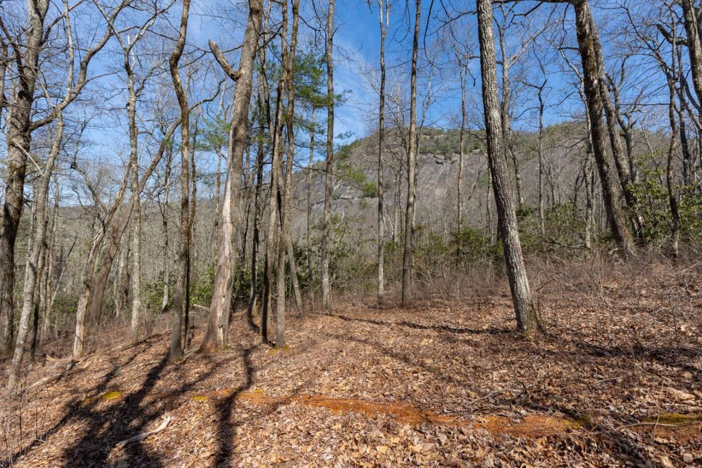 Lot 54 Ramble Ridge Rd Photos 17 Large