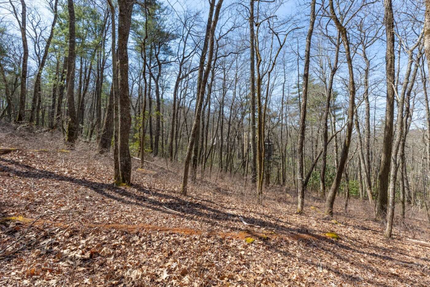 Lot 54 Ramble Ridge Rd Photos 19 Large