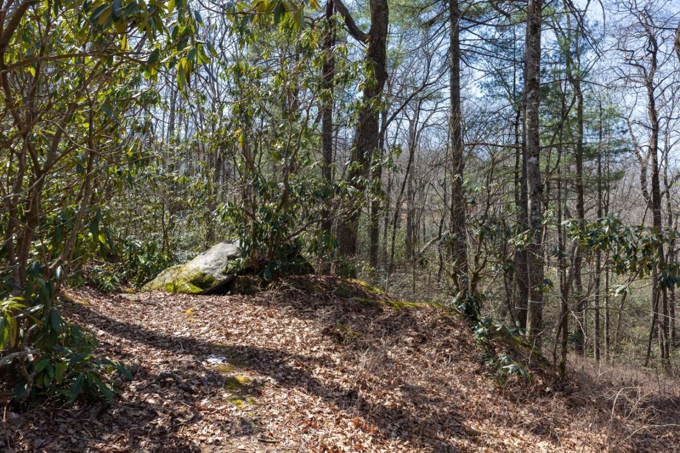 Lot 54 Ramble Ridge Rd Photos 20 Large