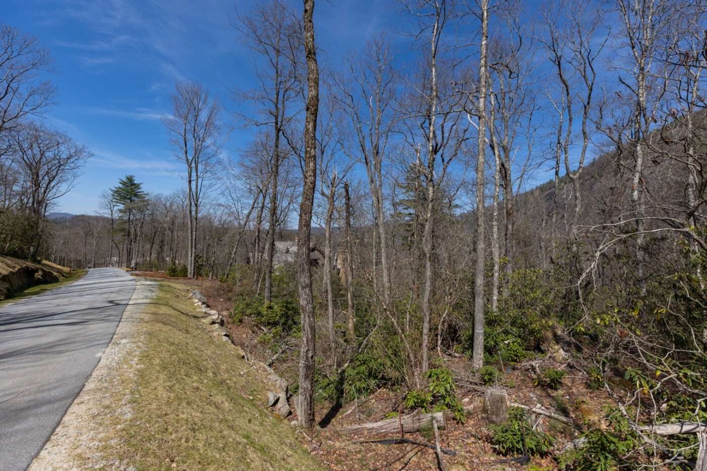 Lot 54 Ramble Ridge Rd Photos 3 Large