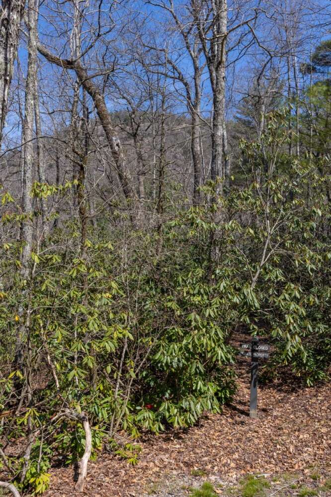 Lot 54 Ramble Ridge Rd Photos 4 Large