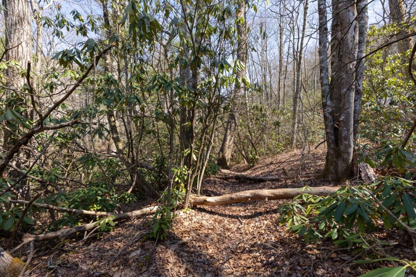 Lot 54 Ramble Ridge Rd Photos 6 Large