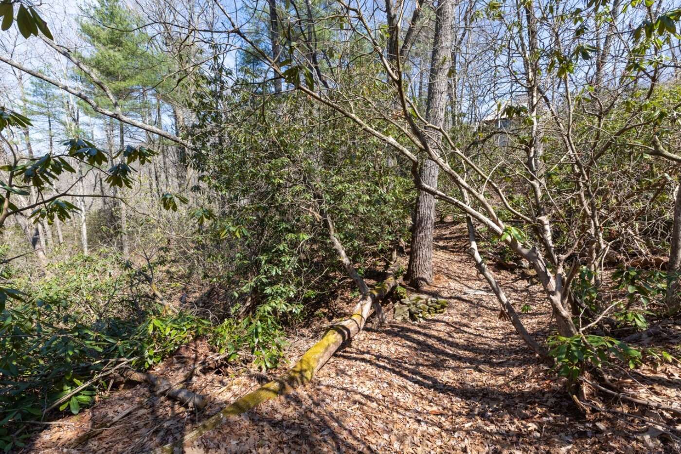 Lot 54 Ramble Ridge Rd Photos 7 Large