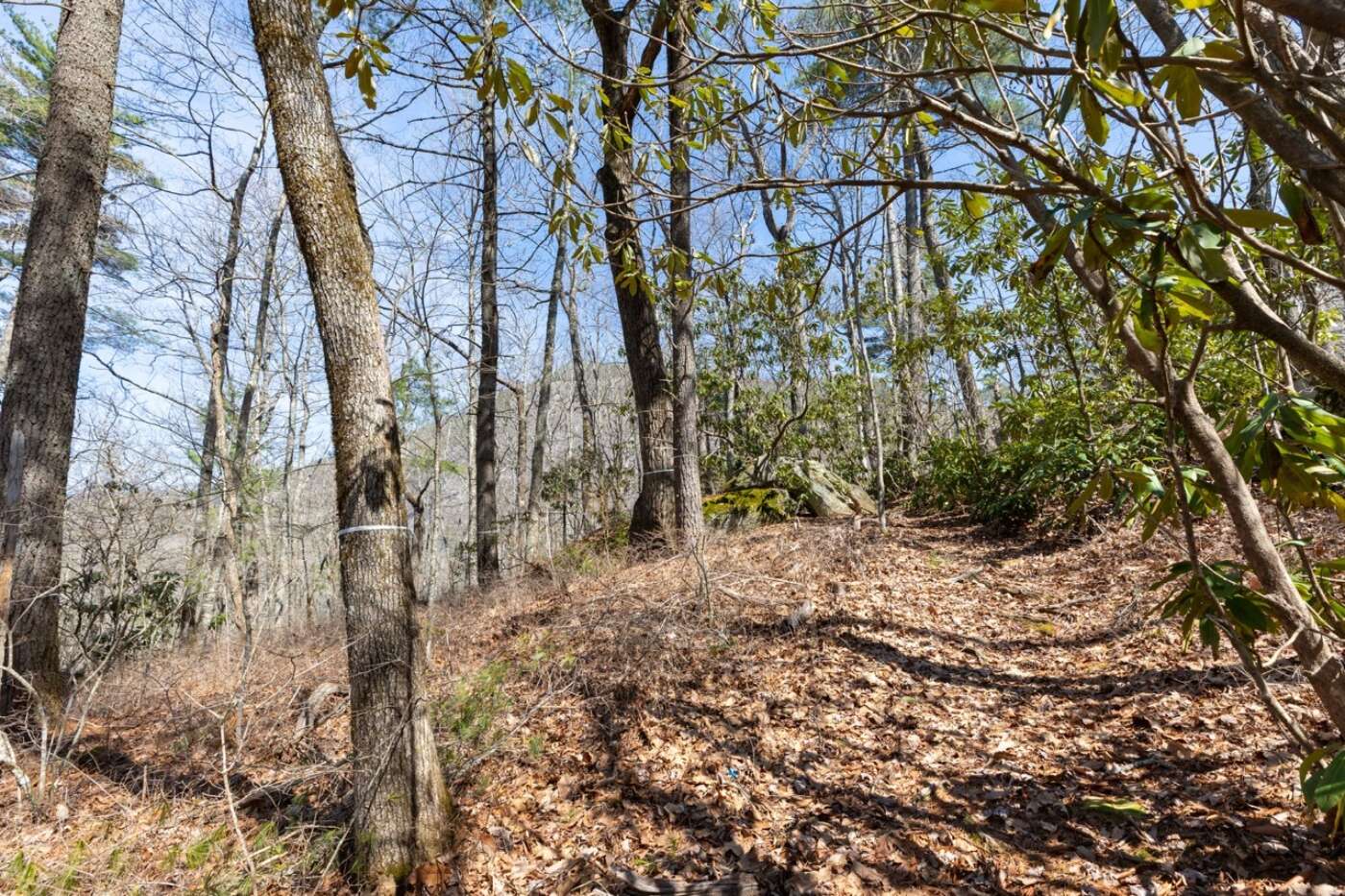Lot 54 Ramble Ridge Rd Photos 8 Large