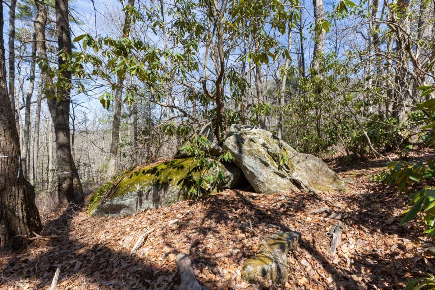 Lot 54 Ramble Ridge Rd Photos 9 Large