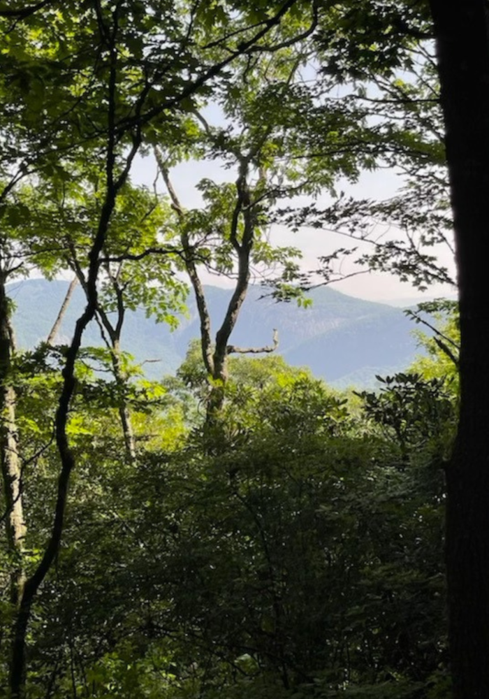 Uplands Ridge 1