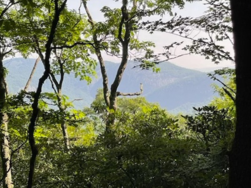 Uplands Ridge 1